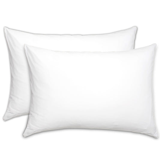 Bundle of 2 Pillow Filling  (20x30)