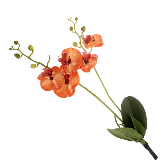 Orchid Flower Stick Orange 22 Inch Hight SX-012 - Habitt