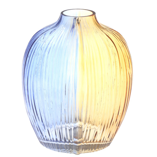 Glass Vase HY-21