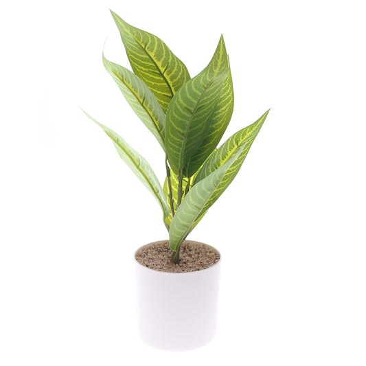 Table Plant D # 2 Green – White Pot – 830933