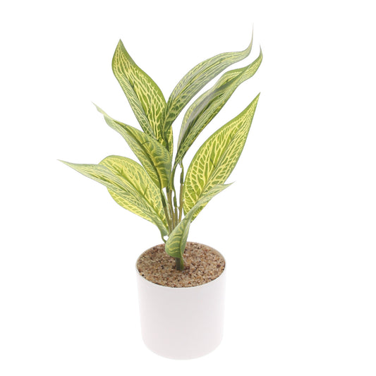 Table Plant D # 4 Green – White Pot – 830933