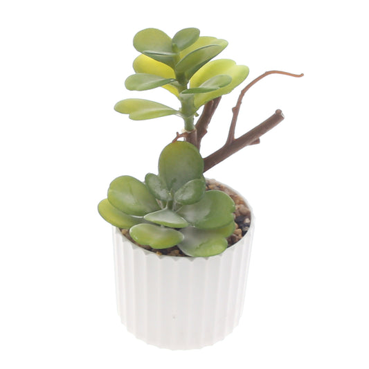 Table Plant D # 5 Green – Ribbed White Pot – 2473134