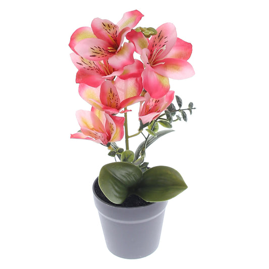 Table Plant – Tiger Lily Style – Pink – 2025366