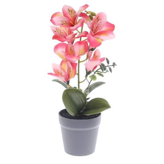 Table Plant – Tiger Lily Style – Pink – 2025366