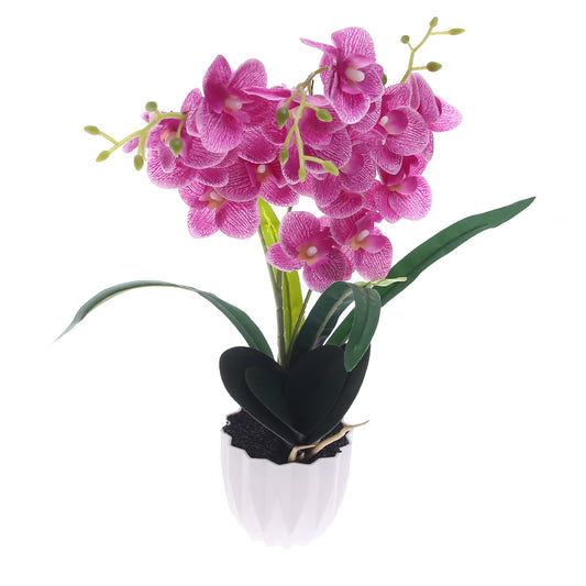Table Plant – Orchid Bloom – Purple – 2025471