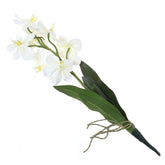 Artificial White Spathoglottis Orchid Bunch – Elegant Faux Orchid Stem for Floral Arrangements & Décor - Habitt