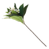 Artificial White Plumeria Flower Stem – Elegant Faux Frangipani for Floral Arrangements & Décor - Habitt