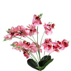 GLUE ORCHID PINK Z-6