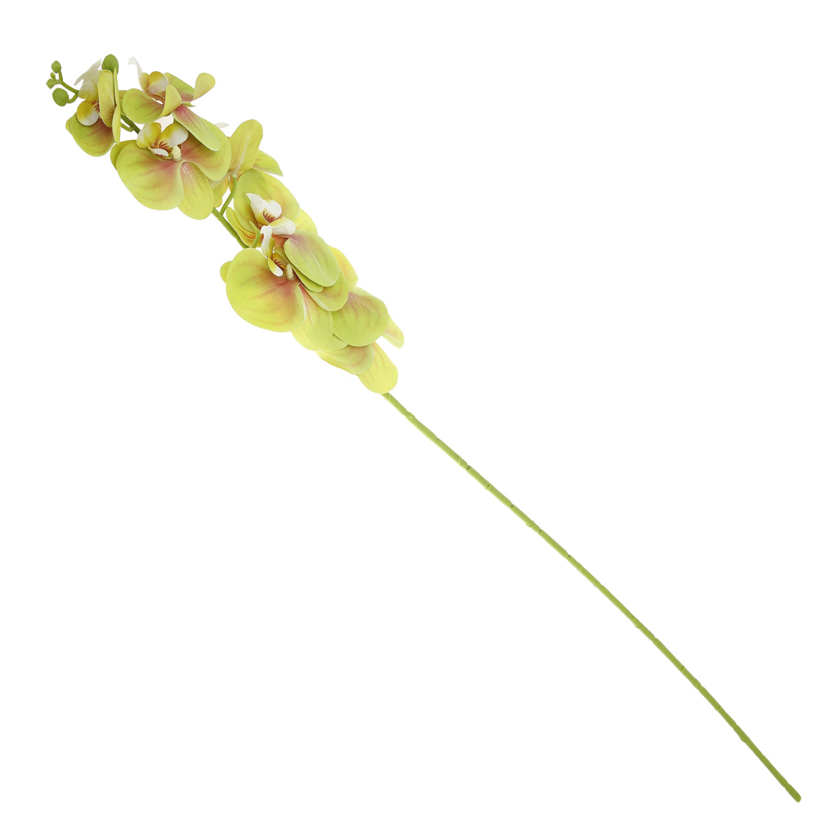 Orchid Flower Stick Nylon+Plastic Multi Oc-01