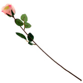 SINGE ECUADOR ROSE 1F 6LVS (V1R72).Unspecified...20622 - Habitt
