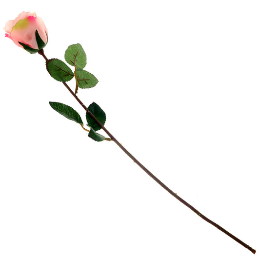 SINGE ECUADOR ROSE 1F 6LVS (V1R72).Unspecified...20622 - Habitt