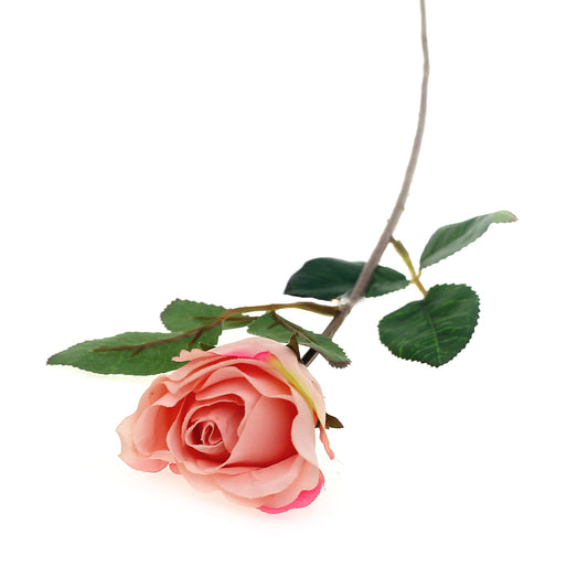 SINGE ECUADOR ROSE 1F 6LVS (V1R72).Unspecified...20622 - Habitt