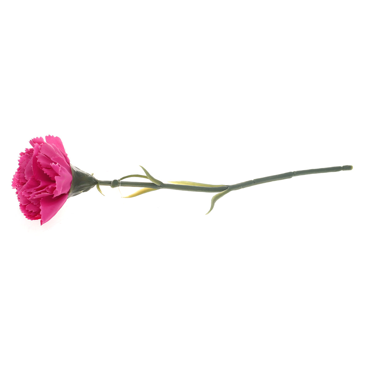 Carnation single flower.Unspecified...22174
