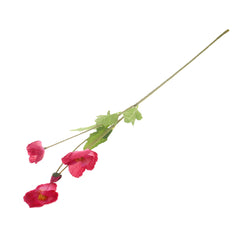 Poppy 4 flower.Unspecified...25075
