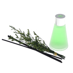 Reed Diffusers.Z311-200