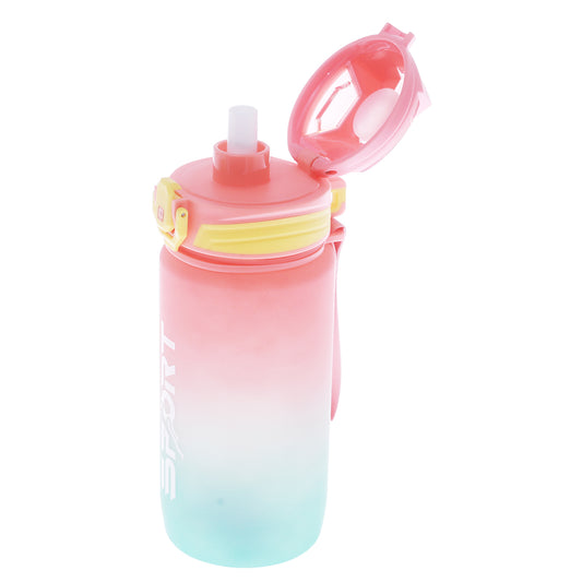 Water Bottle Pink Z311-793 - Habitt