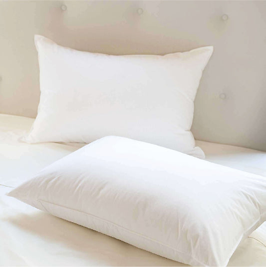 Pillow Filling (20x30) - Single