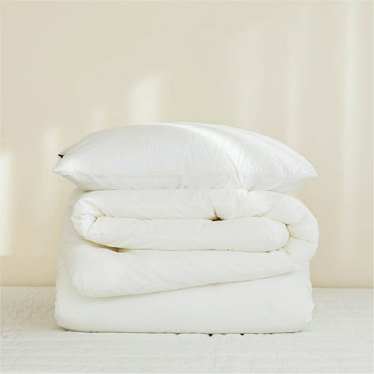 Bundle - Single Comforter Filling 60"x90" with One Pillow Filling 20"x30"