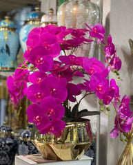 Purple Orchid With Golden Pot
