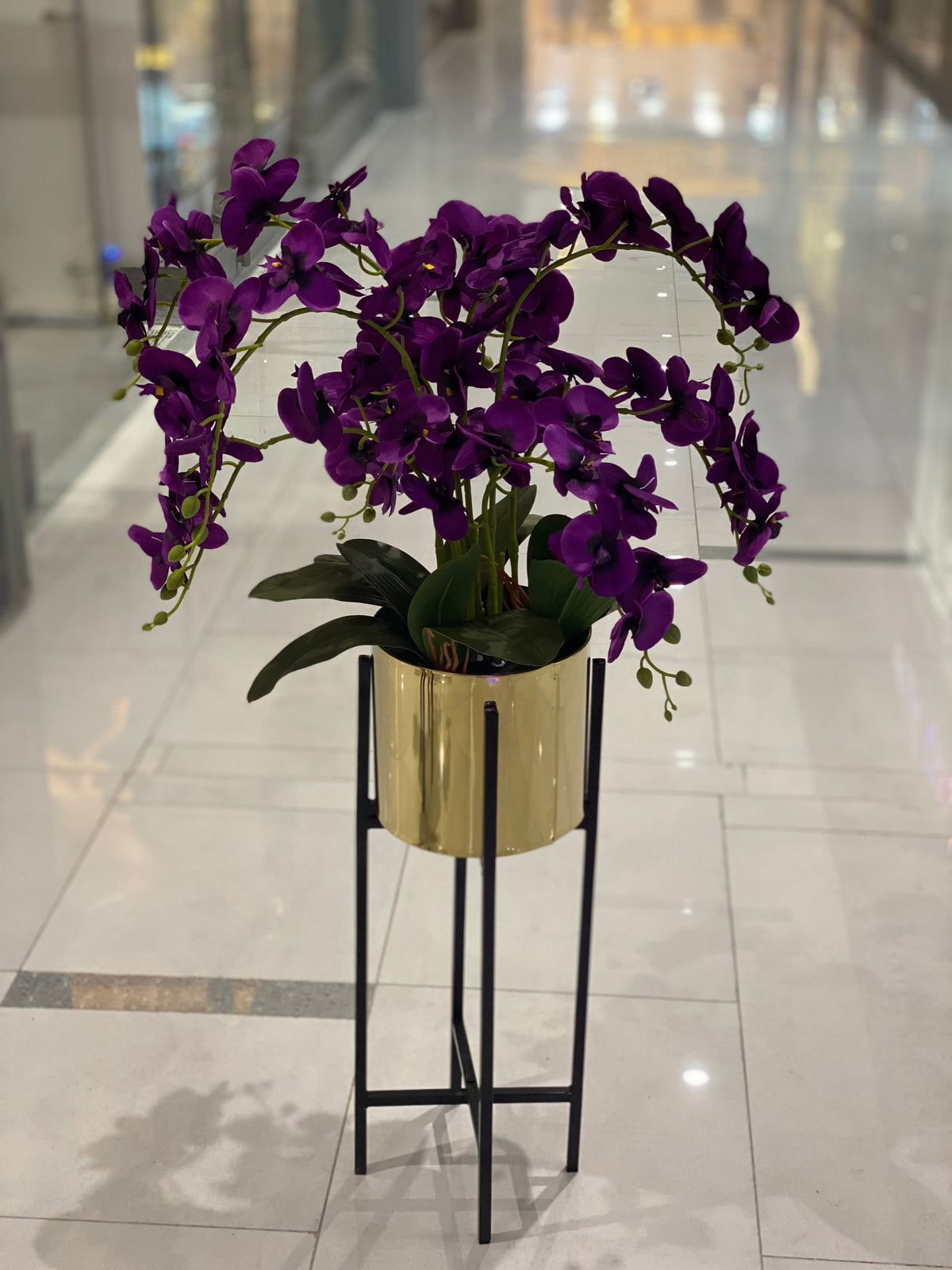 Orchids in Century Stands