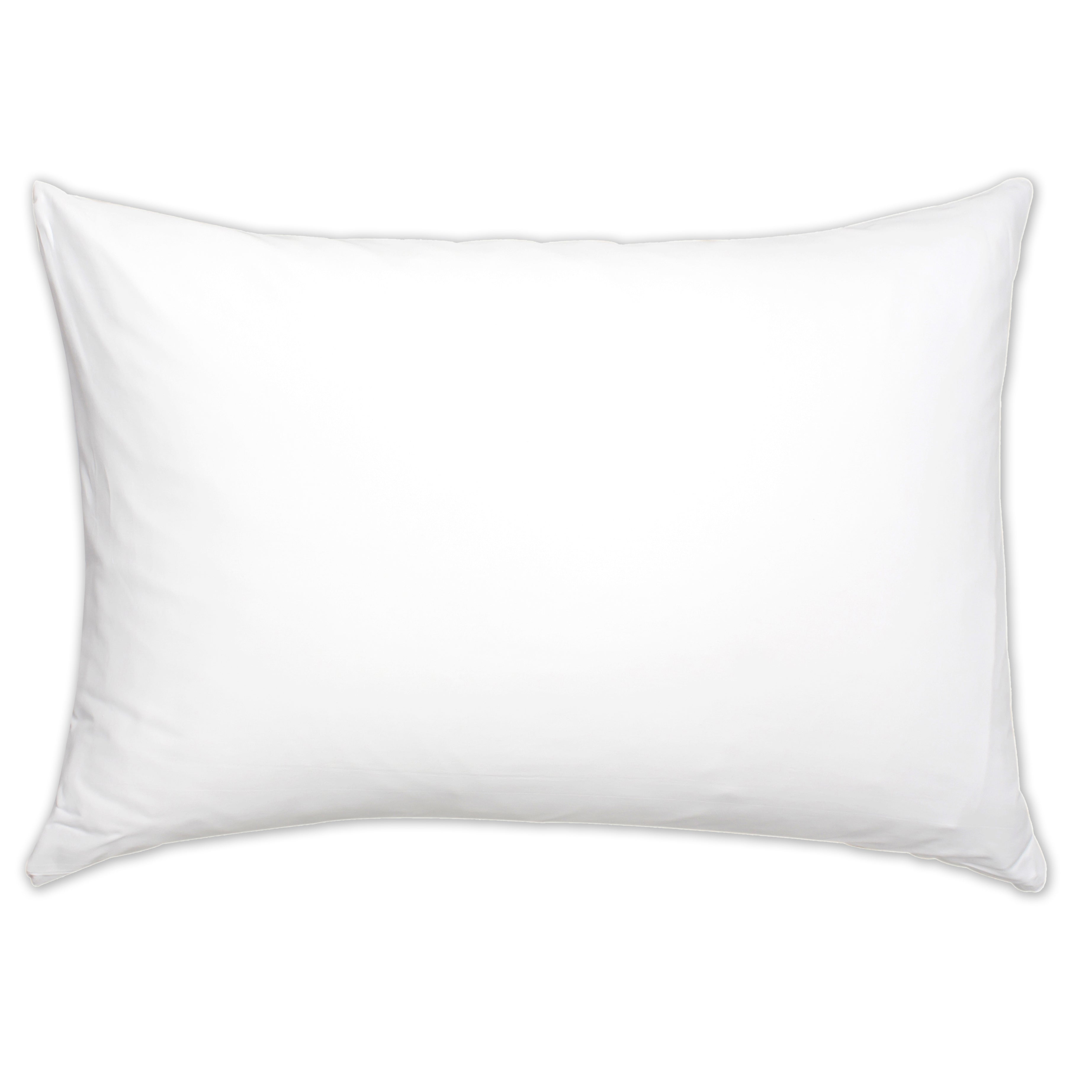 Pillow Filling  (20x30)