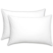Double Comforter Filling (90x96) with 2 Pcs Pillow Filling (20x30)