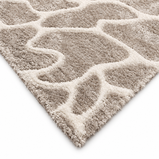 Rugs 5x8 Ft -NL08AP_