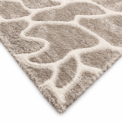 Rug 5x8 Ft