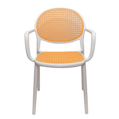Cane Charm Armchair – Plastic Frame with Woven Cane‑Style Seat & Back (Black, White, Green)