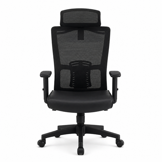 Master Aura High-Back Ergonomic Mesh Executive Chair – Breathable Office Chair with Headrest & Lumbar Support - Habitt