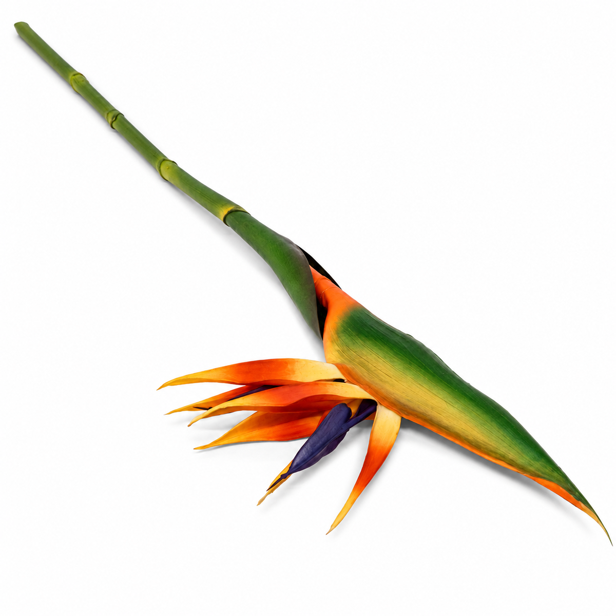 Heaven Bird Yellow Stem (Bird of Paradise Flower)
