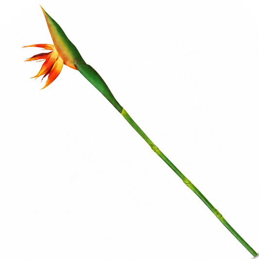 Heaven Bird Yellow Stem (Bird of Paradise Flower)