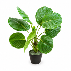 Philodendron Decorative Plant – Green Indoor Home Décor Plant