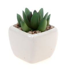 Table Pot White 2 X 2 X 3 Inch SX-013