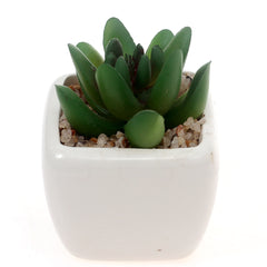 Table Pot White 2 X 2 X 3 Inch SX-013