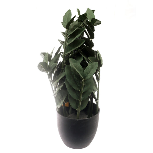 Floor Plant Green 22 Inch Height Cl-006