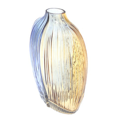 Glass Vase HY-21