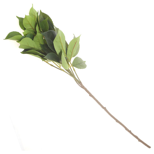 Almond Leave Filler Green