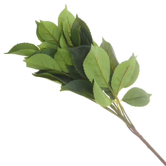 Almond Leave Filler Green