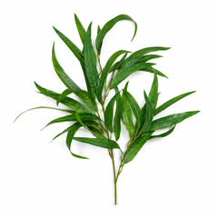 Bamboo Leaf Filler (Noke) Light Green – Decorative Artificial Greenery