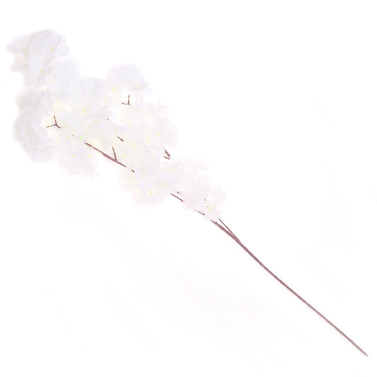 Blossom White