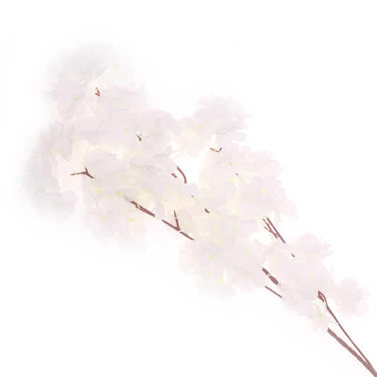 Blossom White
