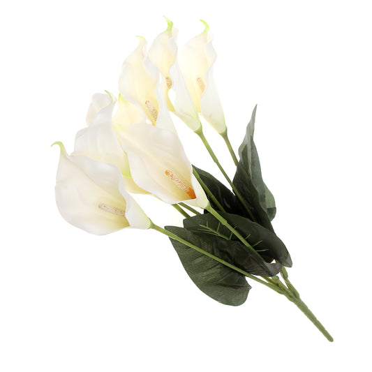 Cala Lily Bush White