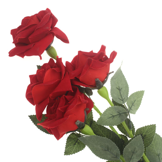 Rose Velvet Red