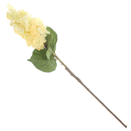 Syngonium Off-White Flower Stick