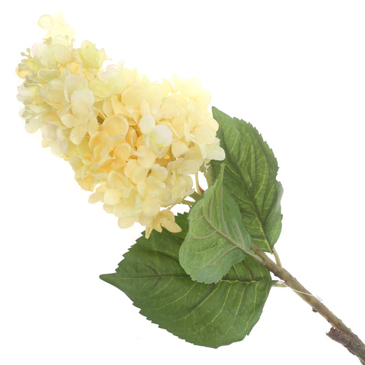 Syngonium Off-White Flower Stick