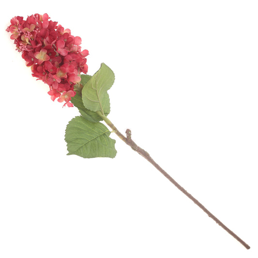 Syngonium Red Flower Stick