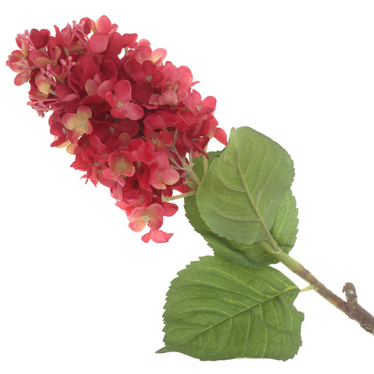 Syngonium Red Flower Stick