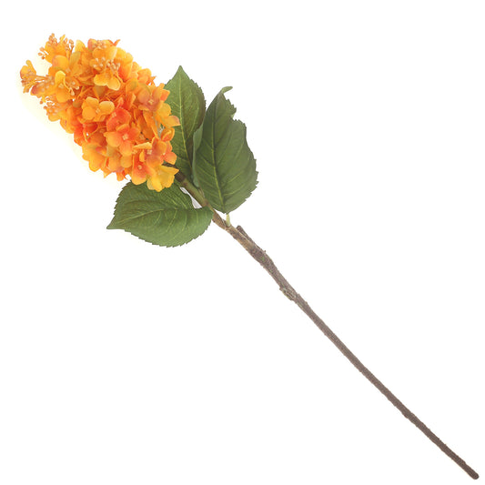 Syngonium Yellow Flower Stick
