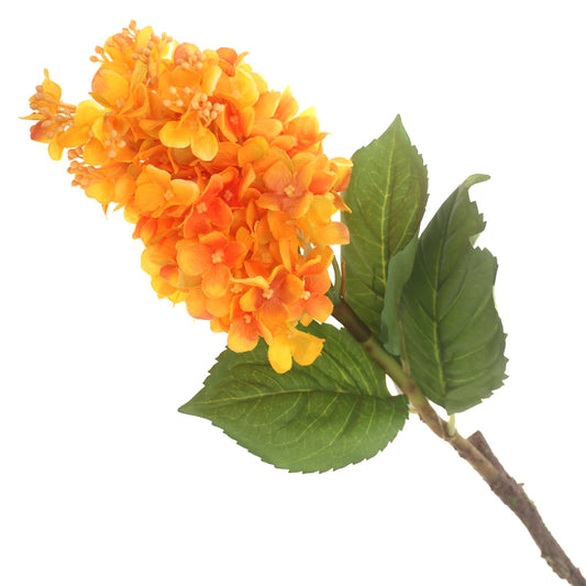 Syngonium Yellow Flower Stick